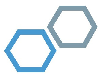logo AMBINS